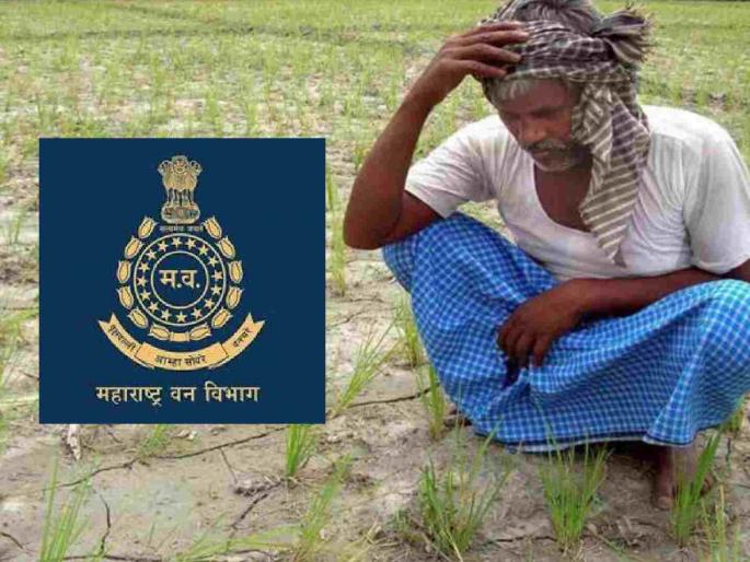The forest department gave private land to the railways, considering it as its own. | वन विभागाने खासगी जमीन स्वतःची समजून रेल्वेला दिली The forest department gave private land to the railways, considering it as its own. | वन विभागाने खासगी जमीन स्वतःची समजून रेल्वेला दिली