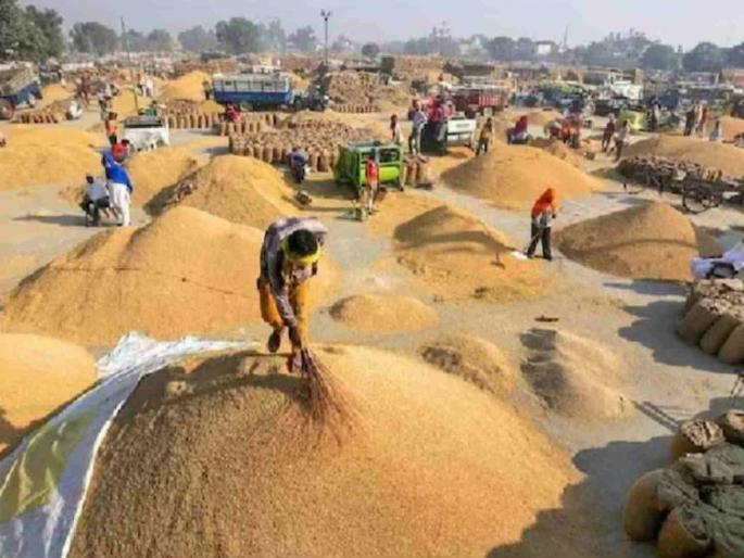 Registration for paddy sale extended till December 31; Relief for farmers | धान विक्रीसाठी नोंदणीला ३१ डिसेंबरपर्यंत मुदतवाढ ; शेतकऱ्यांना दिलासा