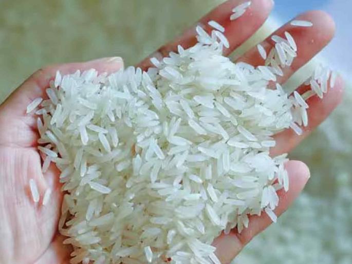 Paddy prices will remain stable for another two months; Farmers have to be satisfied by selling paddy at guaranteed prices | पुन्हा दोन महिने धानाचे दर राहणार स्थिर; शेतकऱ्यांना हमीभावाने धानाची विक्री करून मानावे लागते समाधान Paddy prices will remain stable for another two months; Farmers have to be satisfied by selling paddy at guaranteed prices | पुन्हा दोन महिने धानाचे दर राहणार स्थिर; शेतकऱ्यांना हमीभावाने धानाची विक्री करून मानावे लागते समाधान