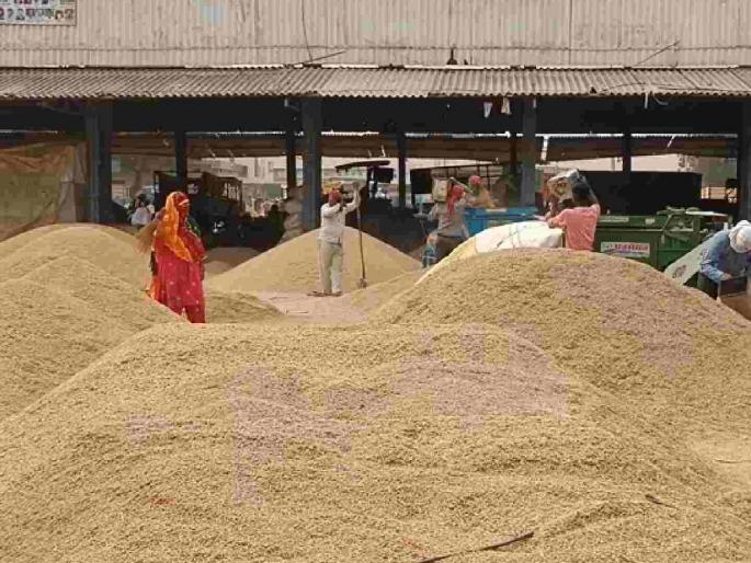 Registration deadline for selling paddy at MSP rate is December 31st. | एमएसपी दराने धान विकण्यासाठी नोंदणी मुदत ३१ डिसेंबर Registration deadline for selling paddy at MSP rate is December 31st. | एमएसपी दराने धान विकण्यासाठी नोंदणी मुदत ३१ डिसेंबर