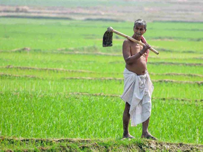 Five thousand project-affected farmers in Vidarbha are waiting for Rs 832 crores | विदर्भातील पाच हजार प्रकल्पबाधित शेतकऱ्यांना ८३२ कोटींची प्रतीक्षा
