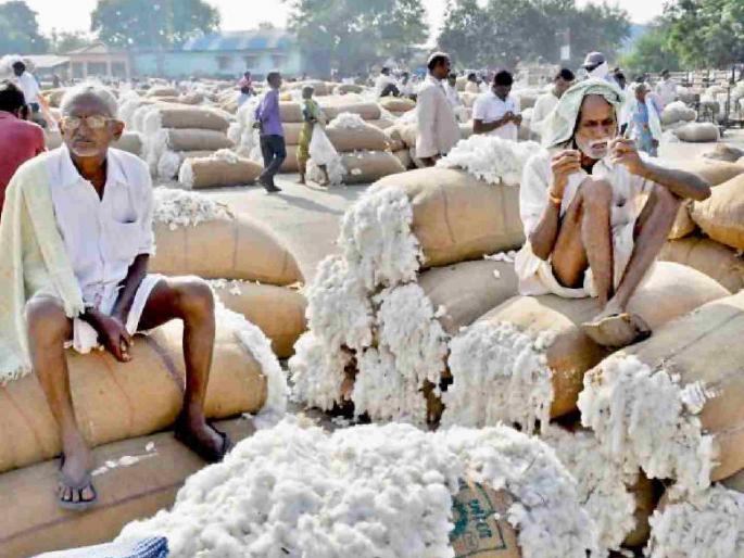 CCI's cotton procurement in Selu has been closed for ten days | सेलूतील सीसीआयची कापूस खरेदी दहा दिवसांपासून बंद