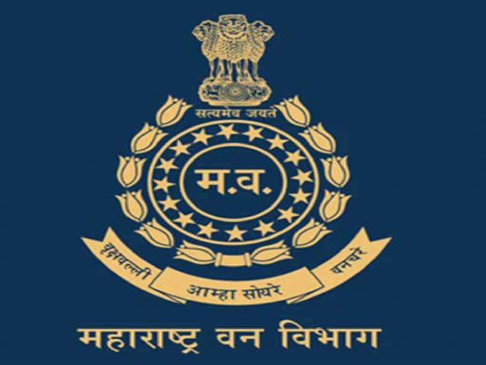 Appointment of forest guard on bogus letter head of forest headquarters | वन मुख्यालयाच्या बोगस लेटर हेडवर वनरक्षक पदाची नियुक्ती Appointment of forest guard on bogus letter head of forest headquarters | वन मुख्यालयाच्या बोगस लेटर हेडवर वनरक्षक पदाची नियुक्ती