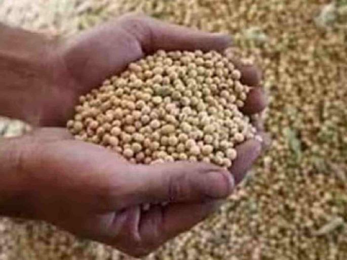 How will soybeans from 11,000 farmers be purchased? farmers' online applications are pending | ११ हजार शेतकऱ्यांची सोयाबीन खरेदी करणार कशी? शेतकऱ्यांची ऑनलाईन नांदणी बाकी How will soybeans from 11,000 farmers be purchased? farmers' online applications are pending | ११ हजार शेतकऱ्यांची सोयाबीन खरेदी करणार कशी? शेतकऱ्यांची ऑनलाईन नांदणी बाकी