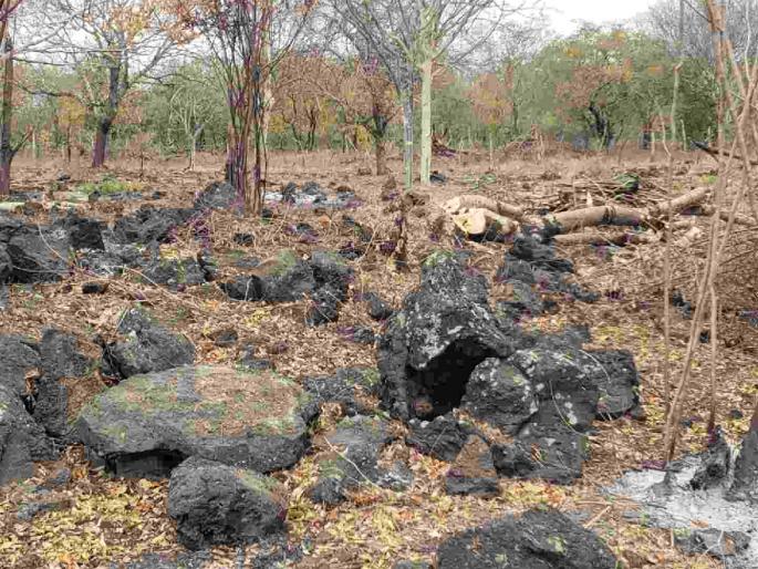 Three thousand years of history buried under a stone circle; Demand for research | तीन हजार वर्षांचा इतिहास शिळावर्तुळाखाली दफन; संशोधनाची मागणी Three thousand years of history buried under a stone circle; Demand for research | तीन हजार वर्षांचा इतिहास शिळावर्तुळाखाली दफन; संशोधनाची मागणी