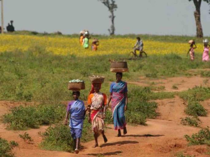 Waiting for buses for tribal-dominated villages in Tumsar taluka! | तुमसर तालुक्यातील आदिवासीबहुल गावांसाठी बसगाड्यांची प्रतीक्षा !