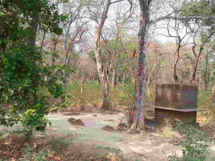 Parks are deserted; crores spent on water: Forest Department ignored | उद्याने पडली ओस; कोट्यवधींना खर्च पाण्यात : वन विभागाने केले दुर्लक्ष Parks are deserted; crores spent on water: Forest Department ignored | उद्याने पडली ओस; कोट्यवधींना खर्च पाण्यात : वन विभागाने केले दुर्लक्ष
