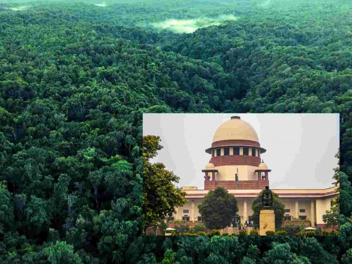 Report on the bush forest will be submitted to the Supreme Court | झुडपी जंगलाचा अहवाल सर्वोच्च न्यायालयात सादर होणार Report on the bush forest will be submitted to the Supreme Court | झुडपी जंगलाचा अहवाल सर्वोच्च न्यायालयात सादर होणार