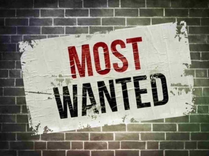 353 most wanted criminals in Chandrapur! The number of criminals has increased in the last year | चंद्रपुरात ३५३ मोस्ट वाँटेड गुन्हेगार! मागील वर्षात वाढले गुन्हेगार 353 most wanted criminals in Chandrapur! The number of criminals has increased in the last year | चंद्रपुरात ३५३ मोस्ट वाँटेड गुन्हेगार! मागील वर्षात वाढले गुन्हेगार