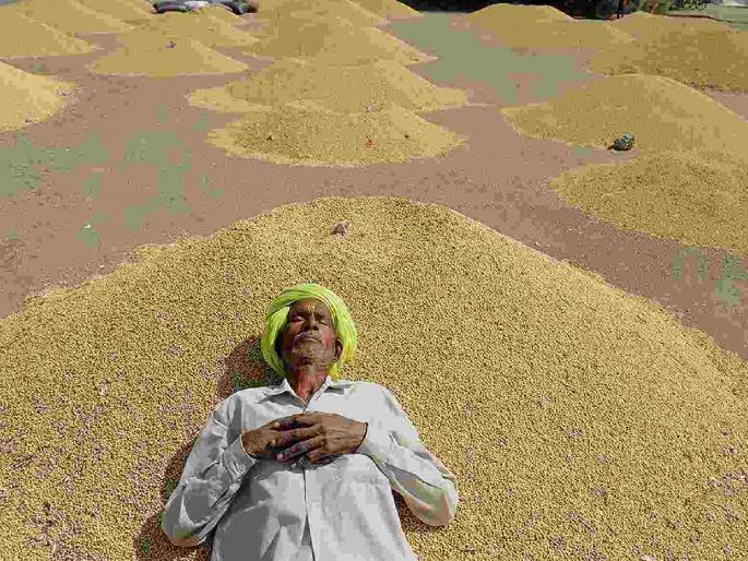 Farmers owed Rs 90 crore; only Rs 5 crore 19 lakh received so far | शेतकऱ्यांचे ९० कोटी थकविले ; आतापर्यंत मिळाले फक्त ५ कोटी १९ लाख रूपये Farmers owed Rs 90 crore; only Rs 5 crore 19 lakh received so far | शेतकऱ्यांचे ९० कोटी थकविले ; आतापर्यंत मिळाले फक्त ५ कोटी १९ लाख रूपये