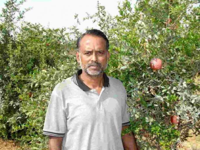 Fruit farmers in Wardha will get compensation of Rs. 1084.98 lakhs | वर्ध्यातील फळ उत्पादक शेतकऱ्यांना मिळेल १०८४.९८ लाख रूपये नुकसान भरपाई