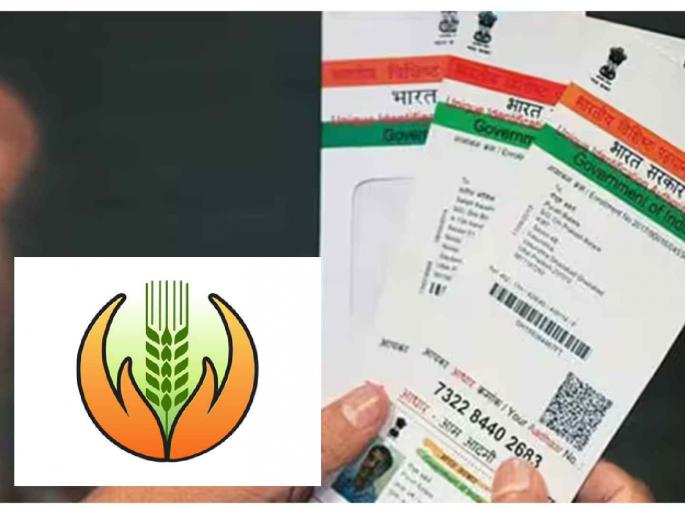 If you apply for fake crop insurance, your Aadhaar card will be blocked! | बनावट पीक विमा अर्ज कराल तर आधार कार्ड ब्लॉक होणार! If you apply for fake crop insurance, your Aadhaar card will be blocked! | बनावट पीक विमा अर्ज कराल तर आधार कार्ड ब्लॉक होणार!