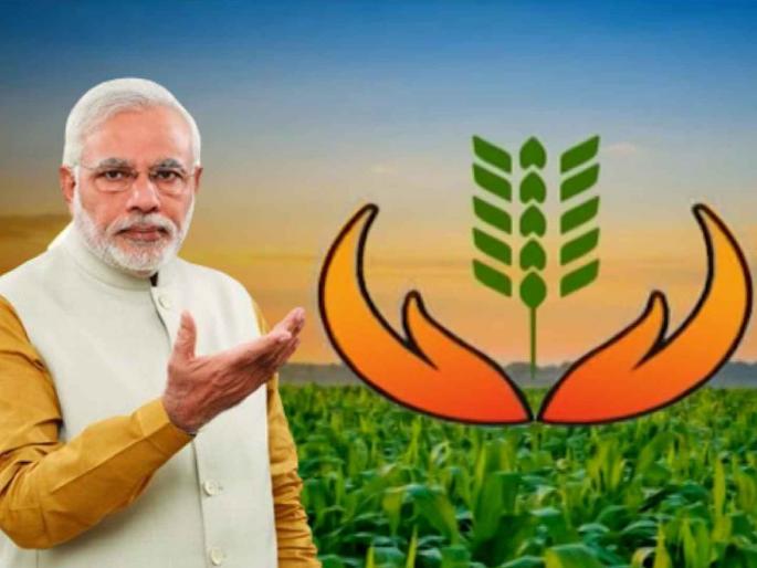 Will there be compensation for crop insurance or will farmers be mocked by being given compensation of Rs 100 this year too? | पीक विम्याची भरपाई होणार की यंदाही शेतकऱ्यांना १०० रुपयांची भरपाई देऊन थट्टा केली जाणार Will there be compensation for crop insurance or will farmers be mocked by being given compensation of Rs 100 this year too? | पीक विम्याची भरपाई होणार की यंदाही शेतकऱ्यांना १०० रुपयांची भरपाई देऊन थट्टा केली जाणार