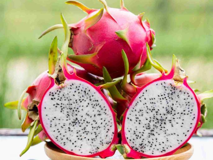 Dragon fruit is a superfruit that increases platelets; effective against various diseases | प्लेटलेट्स वाढविणारे ड्रॅगन फ्रूटच सुपरफ्रूट; विविध आजारांवर ठरते प्रभावी Dragon fruit is a superfruit that increases platelets; effective against various diseases | प्लेटलेट्स वाढविणारे ड्रॅगन फ्रूटच सुपरफ्रूट; विविध आजारांवर ठरते प्रभावी