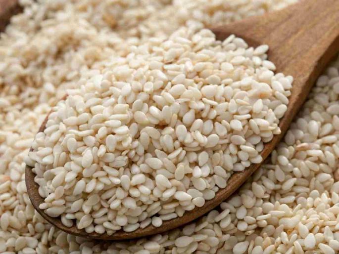 Farmers' inclination towards sesame seeds has increased due to expected prices | अपेक्षित भावामुळे तीळ पेऱ्याकडे शेतकऱ्यांचा वाढला कल Farmers' inclination towards sesame seeds has increased due to expected prices | अपेक्षित भावामुळे तीळ पेऱ्याकडे शेतकऱ्यांचा वाढला कल