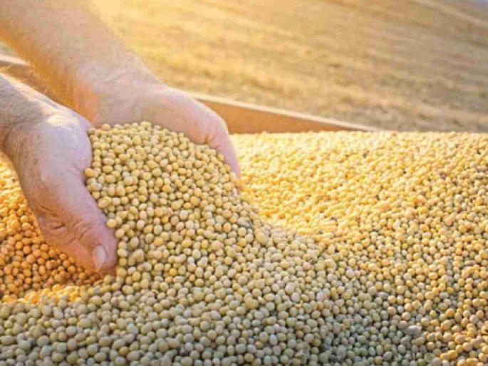 Extend the deadline for Nafed's soybean procurement centers; 45 percent of farmers' soybeans are lying at home | नाफेडच्या सोयाबीन खरेदी केंद्रांना मुदतवाढ द्या; ४५ टक्के शेतकऱ्यांचे सोयाबीन घरातच पडून Extend the deadline for Nafed's soybean procurement centers; 45 percent of farmers' soybeans are lying at home | नाफेडच्या सोयाबीन खरेदी केंद्रांना मुदतवाढ द्या; ४५ टक्के शेतकऱ्यांचे सोयाबीन घरातच पडून