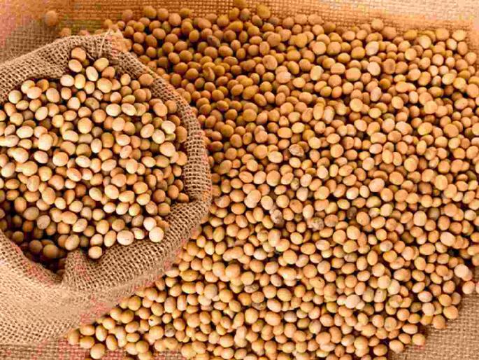 Soybean procurement extended by 24 days; 40,000 quintals of soybeans outside the godown | सोयाबीन खरेदीला २४ दिवसांची मुदतवाढ; ४० हजार क्विंटल सोयाबीन गोदामाच्या बाहेर