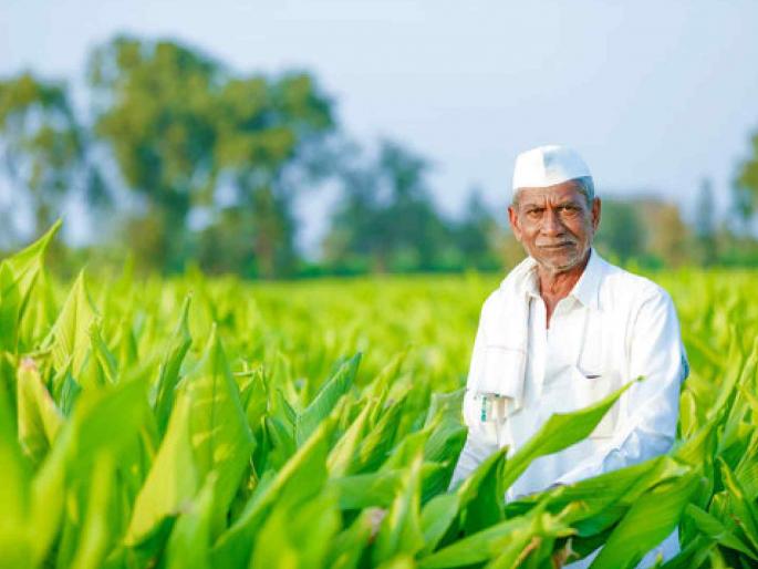 Administration softens on third day as hundreds of farmers protest | शेकडो शेतकऱ्यांच्या आंदोलनाने तिसऱ्या दिवशी नरमले प्रशासन Administration softens on third day as hundreds of farmers protest | शेकडो शेतकऱ्यांच्या आंदोलनाने तिसऱ्या दिवशी नरमले प्रशासन