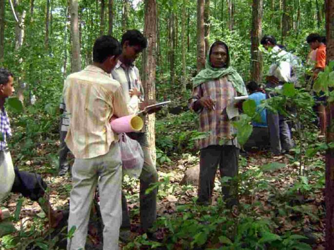 Forest rights workers to go on strike; Threat of indefinite strike from February 18 | वनहक्क कर्मचारी करणार कामबंद आंदोलन; १८ फेब्रुवारीपासून बेमुदत संपावर जाण्याचा इशारा Forest rights workers to go on strike; Threat of indefinite strike from February 18 | वनहक्क कर्मचारी करणार कामबंद आंदोलन; १८ फेब्रुवारीपासून बेमुदत संपावर जाण्याचा इशारा