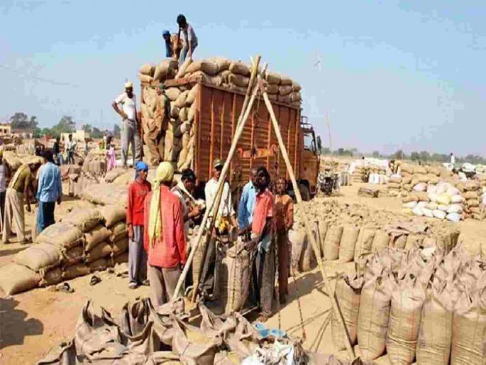 47 crores received, but 49 crores are still outstanding! Defaults on farmers' accounts from Monday | ४७ कोटी आले, पण ४९ कोटी थकीतच ! सोमवारपासून चुकारे शेतकऱ्यांच्या खात्यावर 47 crores received, but 49 crores are still outstanding! Defaults on farmers' accounts from Monday | ४७ कोटी आले, पण ४९ कोटी थकीतच ! सोमवारपासून चुकारे शेतकऱ्यांच्या खात्यावर