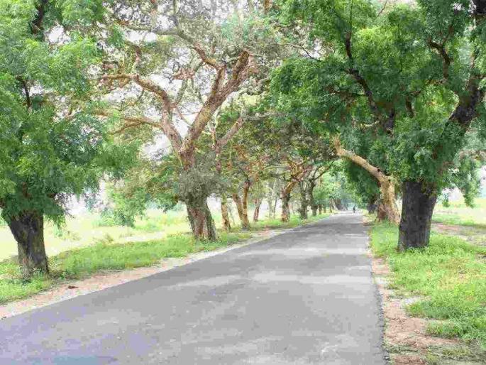 100 crores for cementing six km; Cement road will be built from Chandurbazar Naka to Anjangaon stop | सहा किमी सिमेंटीकरणाला १०० कोटी; चांदूरबाजार नाका ते अंजनगाव स्टॉप होणार सिमेंट रोड