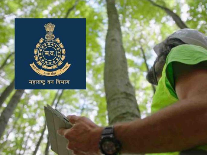 When will temporary forest laborers become regular? The 37-year struggle of forest laborers continues! | अस्थायी वनमजूर कधी होणार नियमित ? वनमजुरांचा ३७ वर्षांचा संघर्ष कायम ! When will temporary forest laborers become regular? The 37-year struggle of forest laborers continues! | अस्थायी वनमजूर कधी होणार नियमित ? वनमजुरांचा ३७ वर्षांचा संघर्ष कायम !