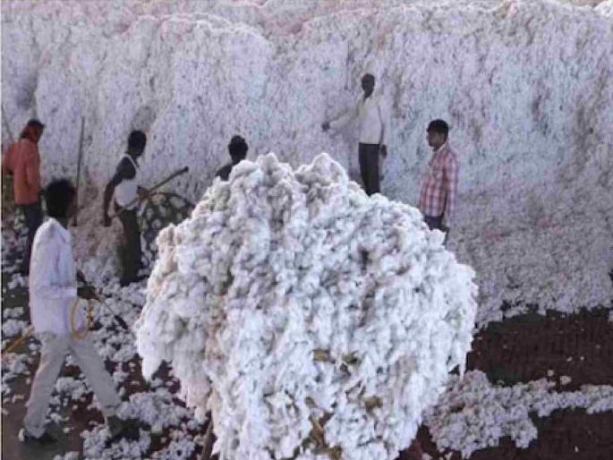 Demand to make CCI a cotton purchasing center in the district | जिल्ह्यातील सीसीआय कापूस खरेदी केंद्र करण्याची मागणी