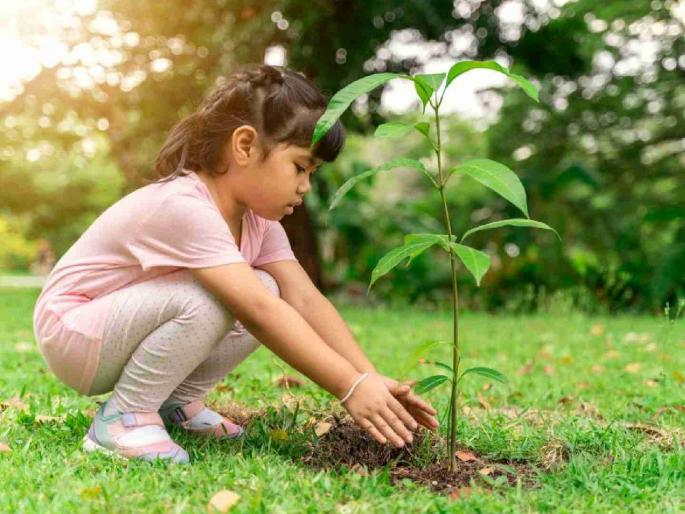 No need of daughter and plants; Zero applications have been made to take advantage of Kanya Van Samriddhi Yojana | मुलगी नको आणि रोपेही नको; कन्या वन समृद्धी योजनेचा लाभ घेण्यासाठी अर्जच केले नाहीत No need of daughter and plants; Zero applications have been made to take advantage of Kanya Van Samriddhi Yojana | मुलगी नको आणि रोपेही नको; कन्या वन समृद्धी योजनेचा लाभ घेण्यासाठी अर्जच केले नाहीत