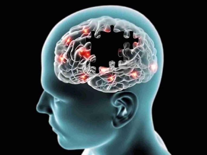 Why does black fungus occur in the brain? Mucormycosis is a disease as deadly as cancer | मेंदूत काळी बुरशी का होते? म्युकर मायकोसिस आजार आहे कॅन्सर इतकाच जीवघेणा Why does black fungus occur in the brain? Mucormycosis is a disease as deadly as cancer | मेंदूत काळी बुरशी का होते? म्युकर मायकोसिस आजार आहे कॅन्सर इतकाच जीवघेणा