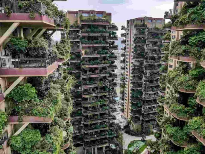 Green buildings will get 20 percent discount in property tax | ग्रीन बिल्डिंगला मालमत्ता करात मिळणार २० टक्के सवलत Green buildings will get 20 percent discount in property tax | ग्रीन बिल्डिंगला मालमत्ता करात मिळणार २० टक्के सवलत