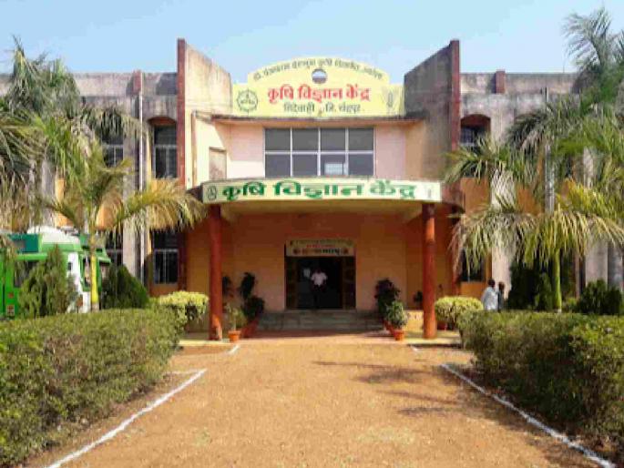 When will Sindewahi Agricultural University be established? | सिंदेवाहीत कृषी विद्यापीठ केव्हा होणार स्थापन ? When will Sindewahi Agricultural University be established? | सिंदेवाहीत कृषी विद्यापीठ केव्हा होणार स्थापन ?