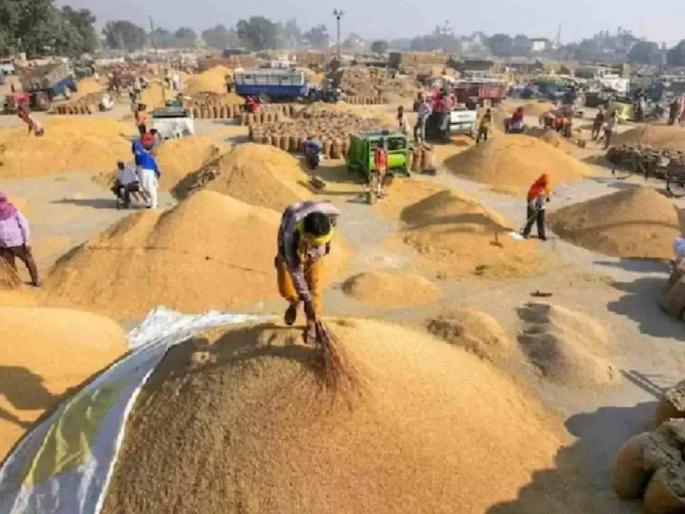 Who is supporting the paddy scammers? Why is the criminal case being pushed? | धान घोटाळा करणाऱ्यांची पाठराखण करतंय कोण ? फौजदारीस चालढकल कशाला? Who is supporting the paddy scammers? Why is the criminal case being pushed? | धान घोटाळा करणाऱ्यांची पाठराखण करतंय कोण ? फौजदारीस चालढकल कशाला?