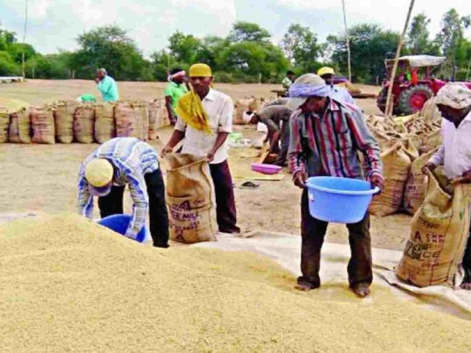 Farmers deprived of compensation even six months after selling paddy | धान विक्री करून सहा महिन्यांनंतरही चुकाऱ्यापासून शेतकरी वंचित Farmers deprived of compensation even six months after selling paddy | धान विक्री करून सहा महिन्यांनंतरही चुकाऱ्यापासून शेतकरी वंचित