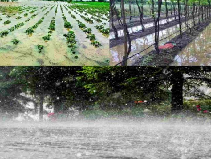 Pre-monsoon rains hit; 2072 farmers' crops destroyed | मान्सूनपूर्व पावसाचा तडाखा; २०७२ शेतकऱ्यांची पिके मातीमोल Pre-monsoon rains hit; 2072 farmers' crops destroyed | मान्सूनपूर्व पावसाचा तडाखा; २०७२ शेतकऱ्यांची पिके मातीमोल
