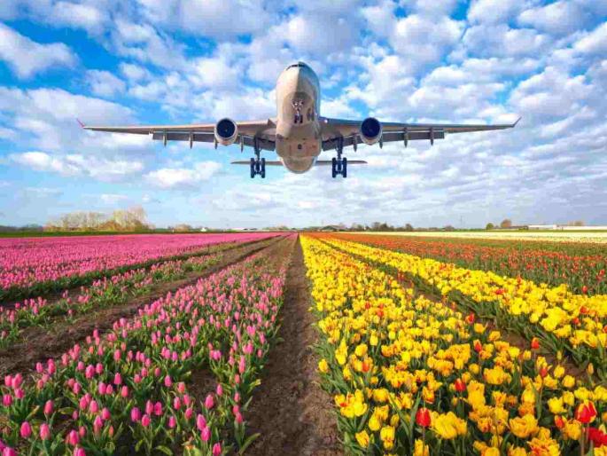 Good news for Nagpur residents: Direct connecting flights to Manchester and Amsterdam via Mumbai will start! | नागपूरकरांसाठी आनंदाची बातमी : मॅंचेस्टर आणि आम्स्टरडॅमसाठी मुंबईमार्गे थेट कनेक्टिंग फ्लाइट्स सुरू होणार ! Good news for Nagpur residents: Direct connecting flights to Manchester and Amsterdam via Mumbai will start! | नागपूरकरांसाठी आनंदाची बातमी : मॅंचेस्टर आणि आम्स्टरडॅमसाठी मुंबईमार्गे थेट कनेक्टिंग फ्लाइट्स सुरू होणार !