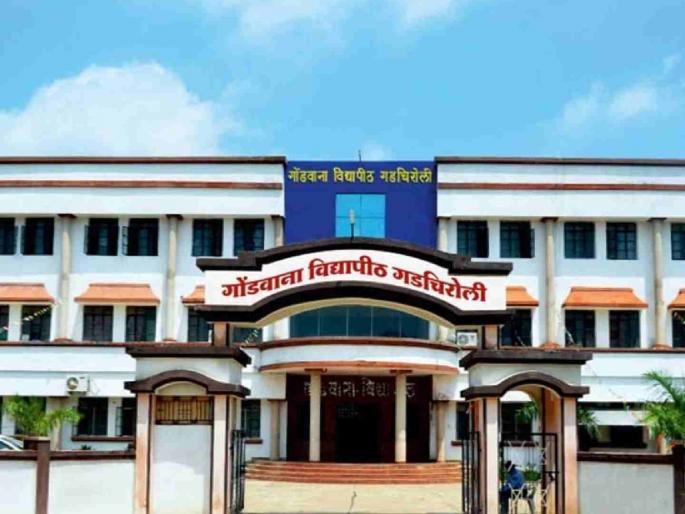 The number of students in colleges in the Gondwana University area has decreased by 20,000 in a year. | गोंडवाना विद्यापीठ परिक्षेत्रात महाविद्यालयातील पटसंख्या वर्षभरात २० हजारांनी घटली