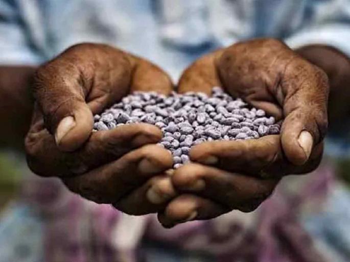 Fake seeds busted in Babhulgaon; 400 packets, four-wheeler seized | बाभूळगावात बोगस बियाण्यांचा केला पर्दाफाश; ४०० पाकिटे, चारचाकी जप्त Fake seeds busted in Babhulgaon; 400 packets, four-wheeler seized | बाभूळगावात बोगस बियाण्यांचा केला पर्दाफाश; ४०० पाकिटे, चारचाकी जप्त