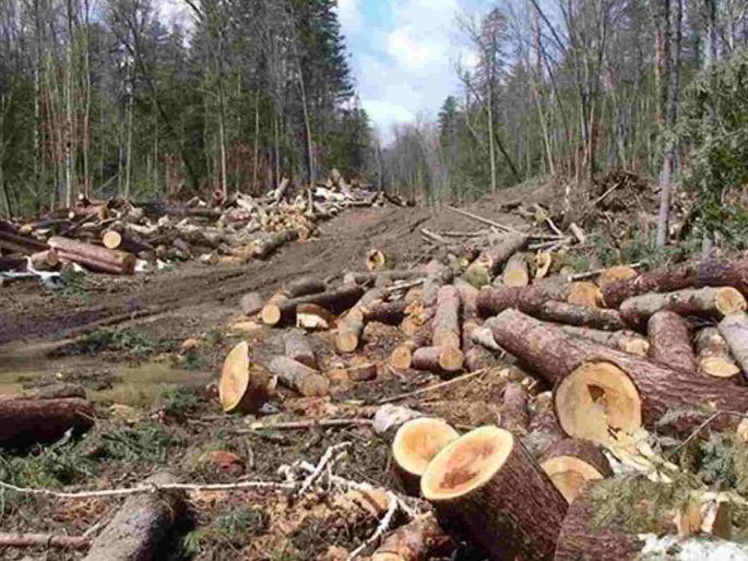 Iron ore mining will be done on condition of compensating for environmental damage; Administration's role on possible tree felling | लोह उत्खनन होणार पर्यावरणाची हानी भरून काढण्याच्या अटीवर; संभाव्य वृक्षतोडीवर प्रशासनाची भूमिका Iron ore mining will be done on condition of compensating for environmental damage; Administration's role on possible tree felling | लोह उत्खनन होणार पर्यावरणाची हानी भरून काढण्याच्या अटीवर; संभाव्य वृक्षतोडीवर प्रशासनाची भूमिका