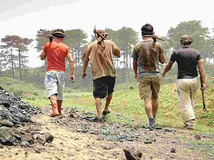 Rohyo laborers looted by bogus labor welfare organizations in Sakoli | साकोलीत बोगस कामगार वेलफेअर संघटनांकडून रोहयो मजुरांची लूट Rohyo laborers looted by bogus labor welfare organizations in Sakoli | साकोलीत बोगस कामगार वेलफेअर संघटनांकडून रोहयो मजुरांची लूट