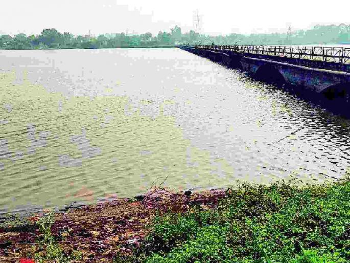 Crores of rupees spent on cleaning the Ganga, but our Wainganga is neglected! | गंगा शुद्धीकरणावर कोट्यवधींचा खर्च, वैनगंगा मात्र दुर्लक्षितच !