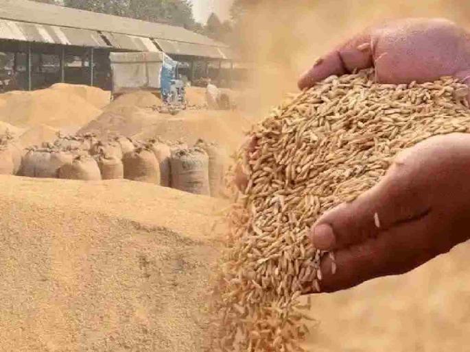 Paddy procurement stopped after target was met: Farmers in trouble; Demands Target increase by 1.5 million quintals sought | उद्दिष्टपूर्तीनंतर धान खरेदी झाली बंद : शेतकरी अडचणीत ; १५ लाख क्विंटलचे वाढवून मागितले उद्दिष्ट Paddy procurement stopped after target was met: Farmers in trouble; Demands Target increase by 1.5 million quintals sought | उद्दिष्टपूर्तीनंतर धान खरेदी झाली बंद : शेतकरी अडचणीत ; १५ लाख क्विंटलचे वाढवून मागितले उद्दिष्ट