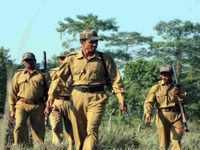 IFS passed, man got a job; but no posting. | आयएफएस झाले, पेढेही वाटले; पोस्टिंग मात्र नाहीच IFS passed, man got a job; but no posting. | आयएफएस झाले, पेढेही वाटले; पोस्टिंग मात्र नाहीच