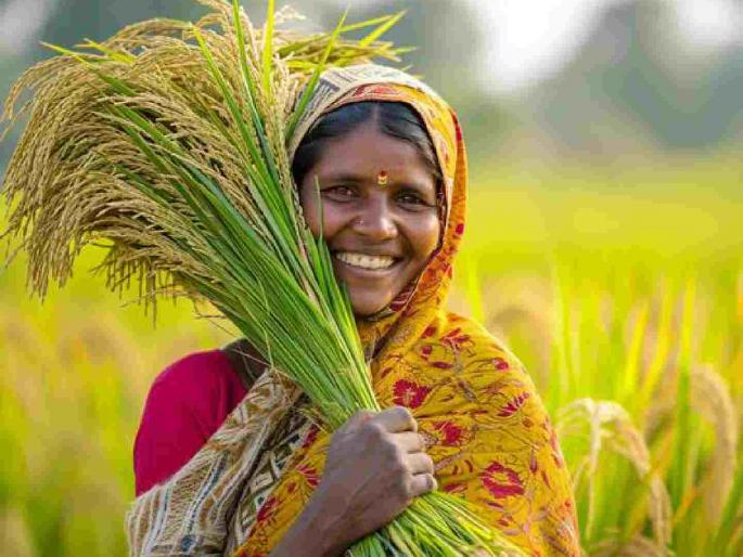 Register your wife's name on Satbara at zero cost; What is the scheme? | सातबारावर पत्नीचे नाव नोंदवा शून्य खर्चात; काय आहे योजना? Register your wife's name on Satbara at zero cost; What is the scheme? | सातबारावर पत्नीचे नाव नोंदवा शून्य खर्चात; काय आहे योजना?