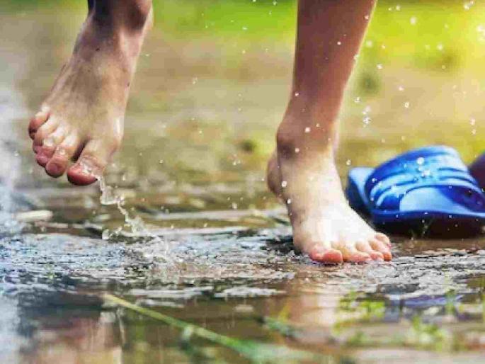 Be careful not to step into stagnant water, otherwise you will get sick with lepto! | साचलेल्या पाण्यात जपून टाका पाय, नाही तर लेप्टो आजाराने व्हाल बेहाल ! Be careful not to step into stagnant water, otherwise you will get sick with lepto! | साचलेल्या पाण्यात जपून टाका पाय, नाही तर लेप्टो आजाराने व्हाल बेहाल !