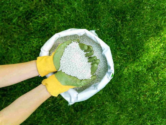 Fertilizer smuggling busted in Madhya Pradesh, Chhattisgarh: Agriculture Minister reprimands | मध्यप्रदेश, छत्तीसगडमध्ये खत तस्करीवर शिक्कामोर्तब : कृषिमंत्र्यांनी फटकारले Fertilizer smuggling busted in Madhya Pradesh, Chhattisgarh: Agriculture Minister reprimands | मध्यप्रदेश, छत्तीसगडमध्ये खत तस्करीवर शिक्कामोर्तब : कृषिमंत्र्यांनी फटकारले