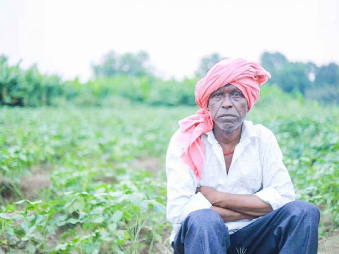Eight thousand farmers registered in Chandrapur district; Bonus given to only 280 farmers | चंद्रपूर जिल्ह्यात नोंदणी झाली आठ हजार शेतकऱ्यांची; बोनस केवळ २८० शेतकऱ्यांनाच Eight thousand farmers registered in Chandrapur district; Bonus given to only 280 farmers | चंद्रपूर जिल्ह्यात नोंदणी झाली आठ हजार शेतकऱ्यांची; बोनस केवळ २८० शेतकऱ्यांनाच