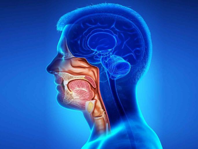 Increase in cancer patients in Nagpur; 40 percent of cancer patients are from 'Head and Neck' | नागपुरात कर्करोग रुग्णांमध्ये वाढ; ४० टक्के कर्करोग रुग्ण 'हेड अँड नेक'चे Increase in cancer patients in Nagpur; 40 percent of cancer patients are from 'Head and Neck' | नागपुरात कर्करोग रुग्णांमध्ये वाढ; ४० टक्के कर्करोग रुग्ण 'हेड अँड नेक'चे