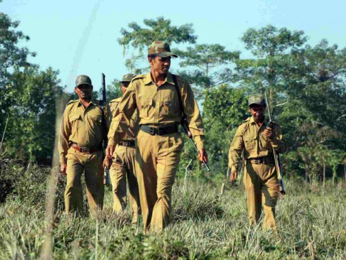 Orders issued for the transfer of 50 RFOs in the state | राज्यात ५० आरएफओंच्या विनंती बदल्यांचे आदेश जारी Orders issued for the transfer of 50 RFOs in the state | राज्यात ५० आरएफओंच्या विनंती बदल्यांचे आदेश जारी