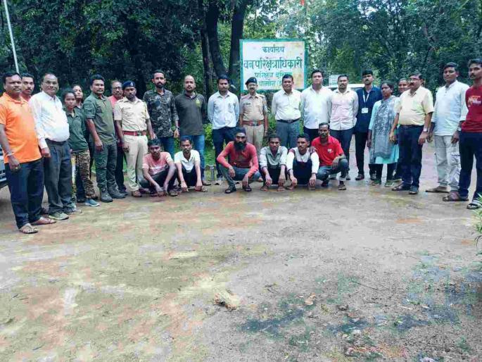 Seven accused arrested for hunting wild animals and selling meat | वन्यप्राण्याची शिकार करून मांसविक्री करणाऱ्या सात आराेपींना अटक Seven accused arrested for hunting wild animals and selling meat | वन्यप्राण्याची शिकार करून मांसविक्री करणाऱ्या सात आराेपींना अटक