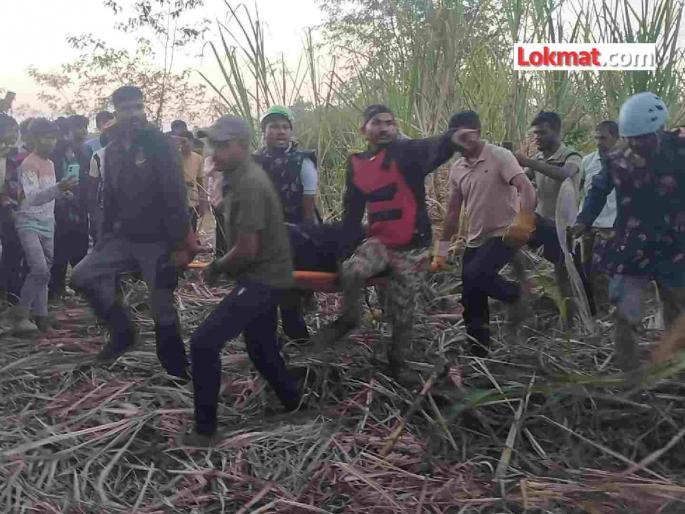 A bear that caused a stir in the Mahagaon area was captured. | महागाव परिसरात धुमाकूळ घालणाऱ्या अस्वलाला केले जेरबंद A bear that caused a stir in the Mahagaon area was captured. | महागाव परिसरात धुमाकूळ घालणाऱ्या अस्वलाला केले जेरबंद